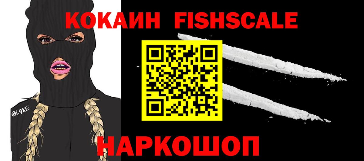 COCAIN FishScale  Вход с VPN  Славгород  Cocaine FishScale 