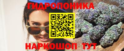 мдпв Пушкино