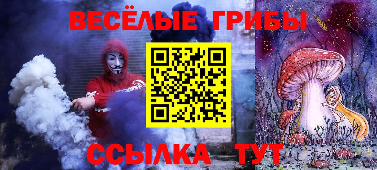 Псилоцибиновые грибы ЛСД Славгород