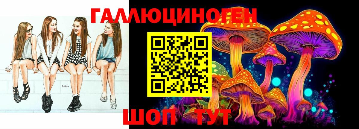 Галлюциногенные грибы Cubensis  Вход с VPN  Славгород 